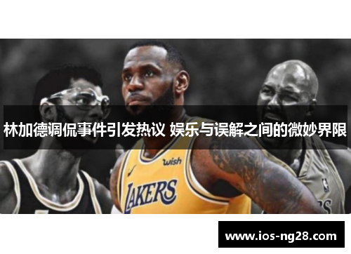 林加德调侃事件引发热议 娱乐与误解之间的微妙界限